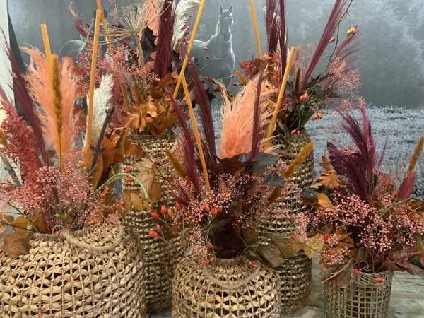 Droogbloemen